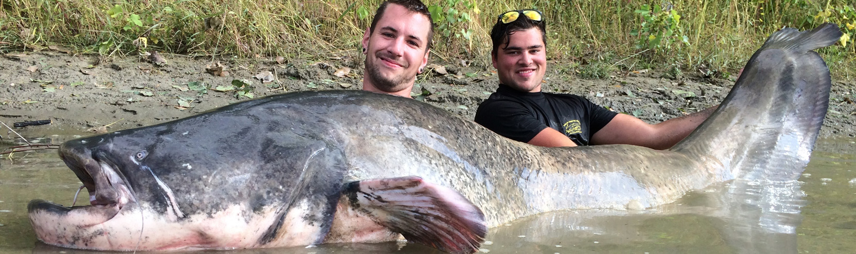 Der Po ilcampodelsiluro